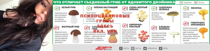 Галлюциногенные грибы ЛСД  где купить наркотик  Малая Вишера 